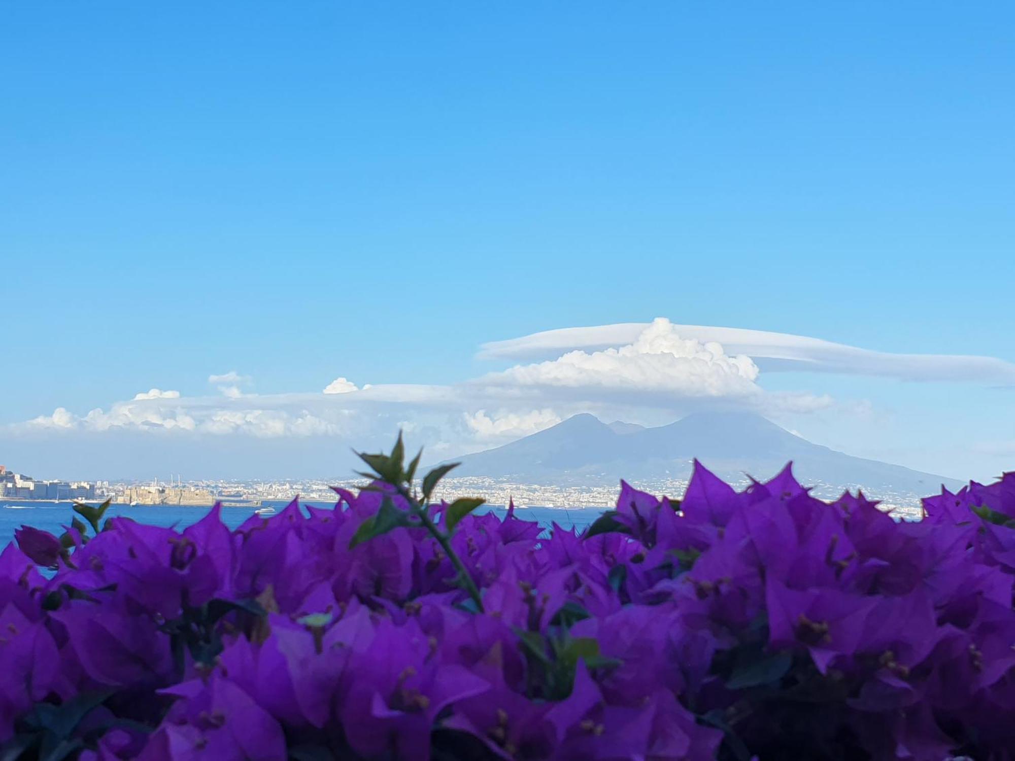 Casa Adalu Apartment Naples